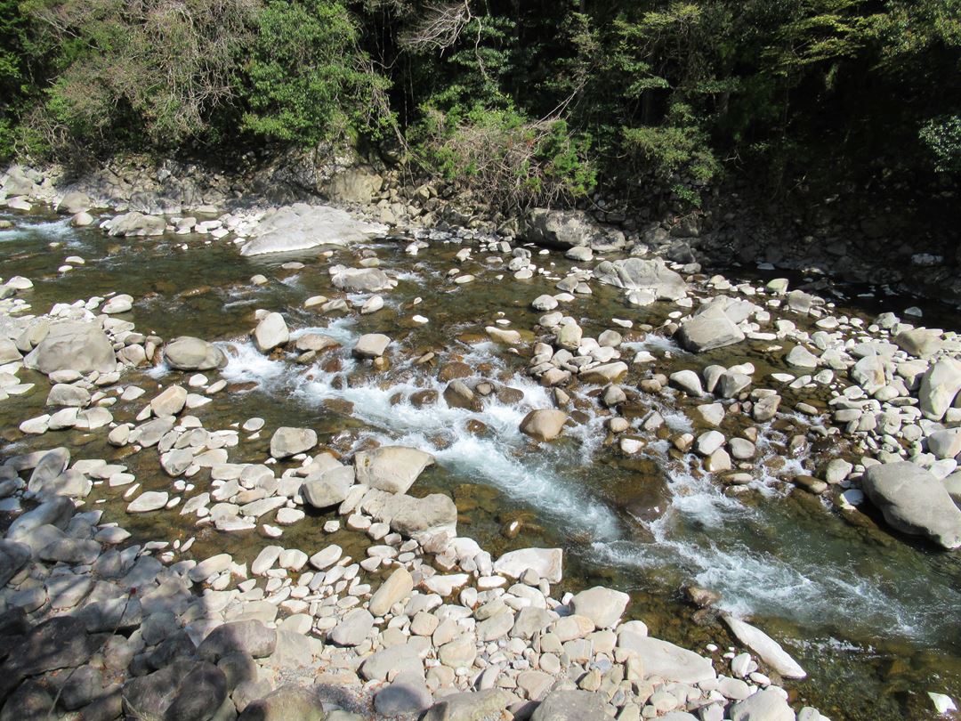 安田川アユおどる清流キャンプ場 高知 Yasudagawa Camp Ground