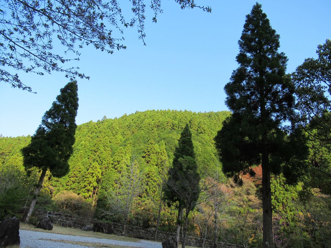 安田川アユおどる清流キャンプ場 高知 Yasudagawa Camp Ground