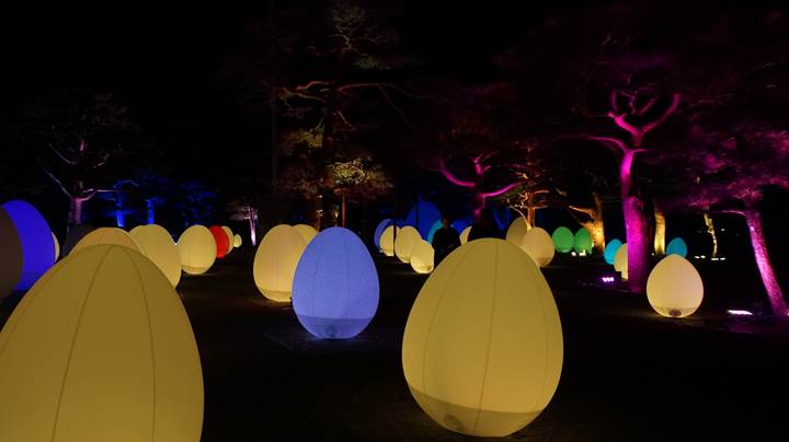 teamLab, Kochi Castle チームラボ 高知城