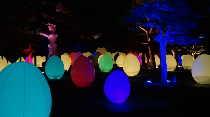 teamLab, Kochi Castle チームラボ 高知城