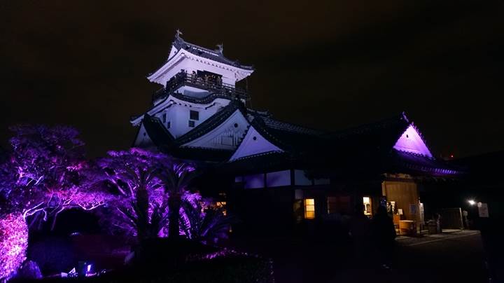 teamLab, Kochi Castle チームラボ 高知城