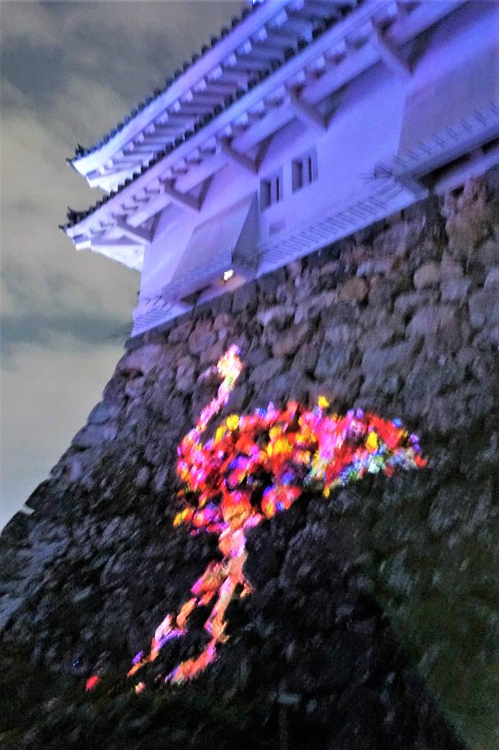teamLab, Kochi Castle チームラボ 高知城