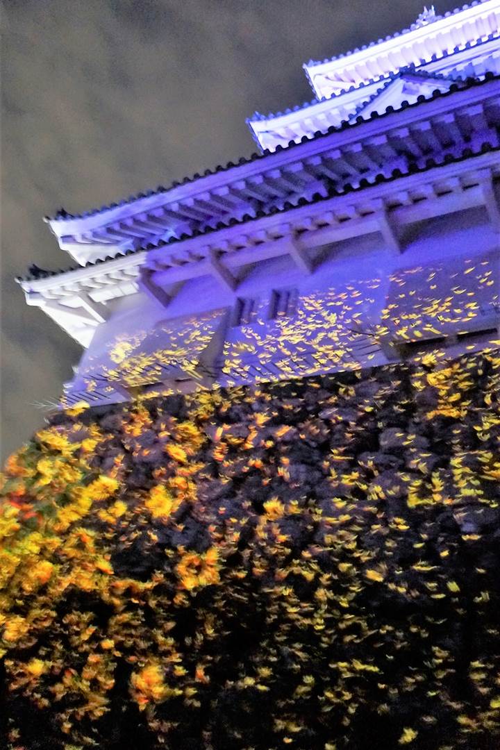 teamLab, Kochi Castle チームラボ 高知城