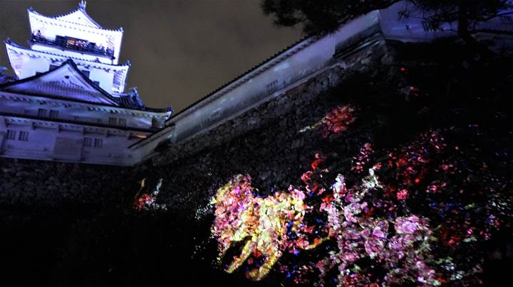 teamLab, Kochi Castle チームラボ 高知城