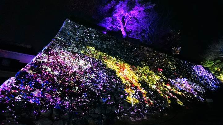 teamLab, Kochi Castle チームラボ 高知城