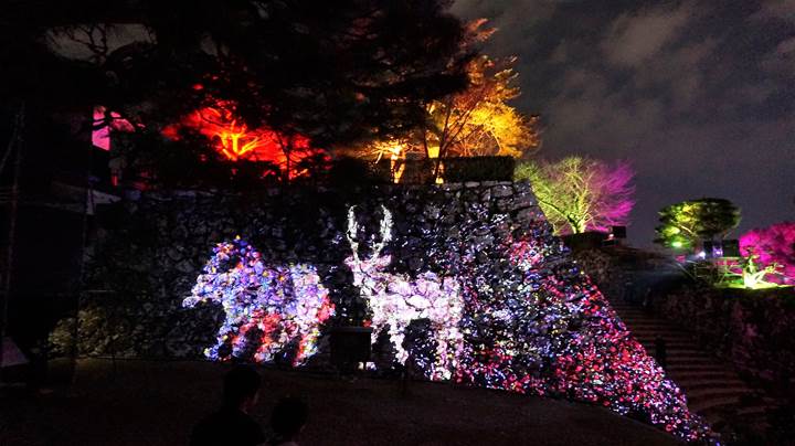 teamLab, Kochi Castle チームラボ 高知城