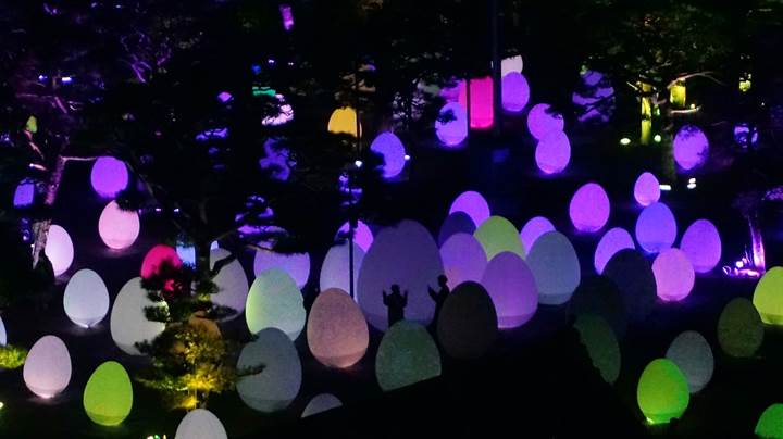 teamLab, Kochi Castle チームラボ 高知城