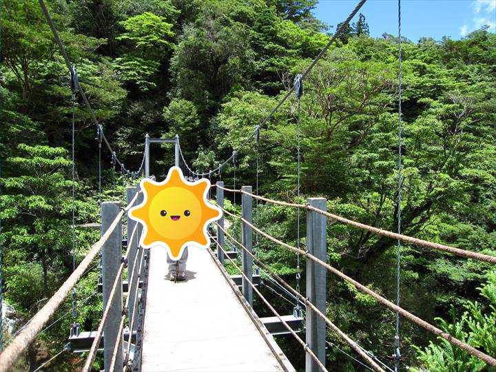 Yakushima Island National Park, World Natural Heritage in Japan 世界自然遺産 屋久島