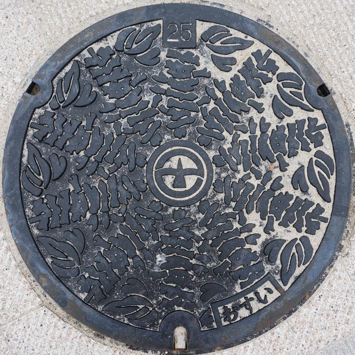 Manhole (Minami-machida Grandberry Park) マンホール 南町田グランベリーパーク