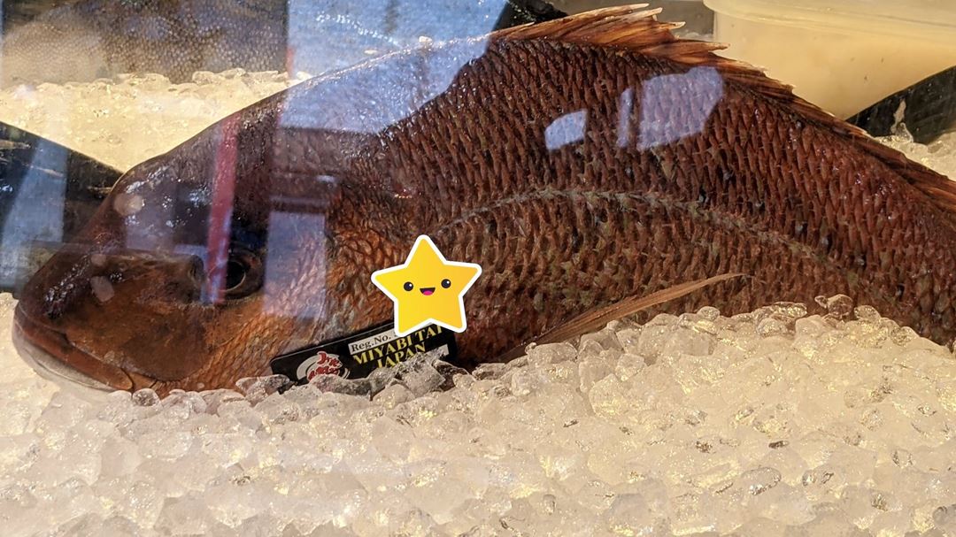 MIYABITAI Seabream 活〆 みやび鯛 Sushi CHOUSHIMARU すし 銚子丸 - 回転寿司 鮨
