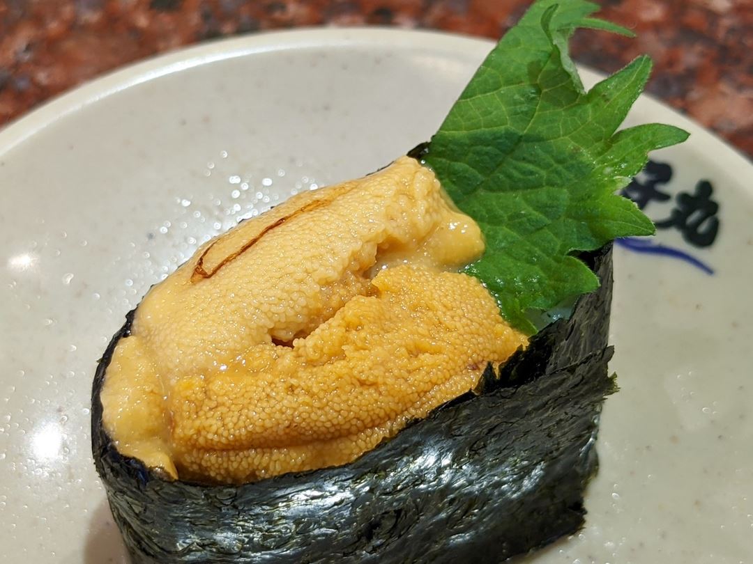 Fresh Sea Urchin 生うに - Sushi CHOUSHIMARU すし 銚子丸 - 回転寿司 鮨