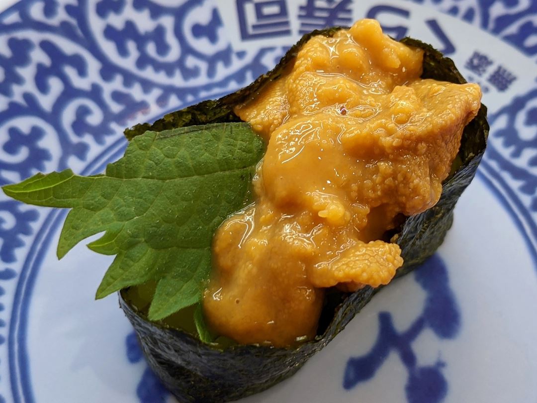 Selected Sea Urchin 1p 厳選うに一貫 Conveyor Belt Sushi Restaurant (Sushi Go Round) KURASUSHI くら寿司