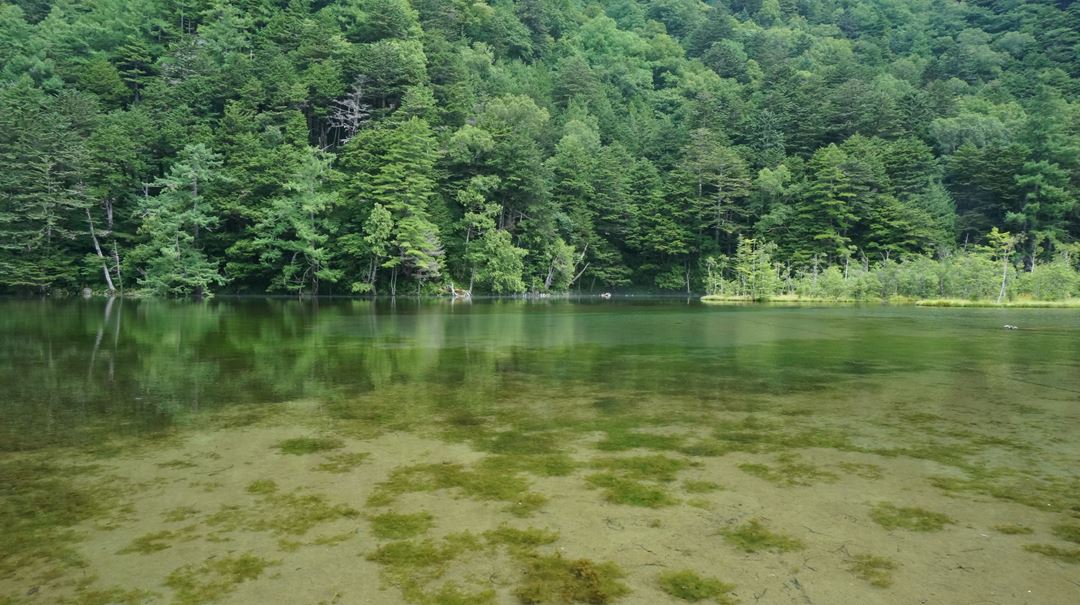 上高地 明神池 Myojin Pond - Kamikochi