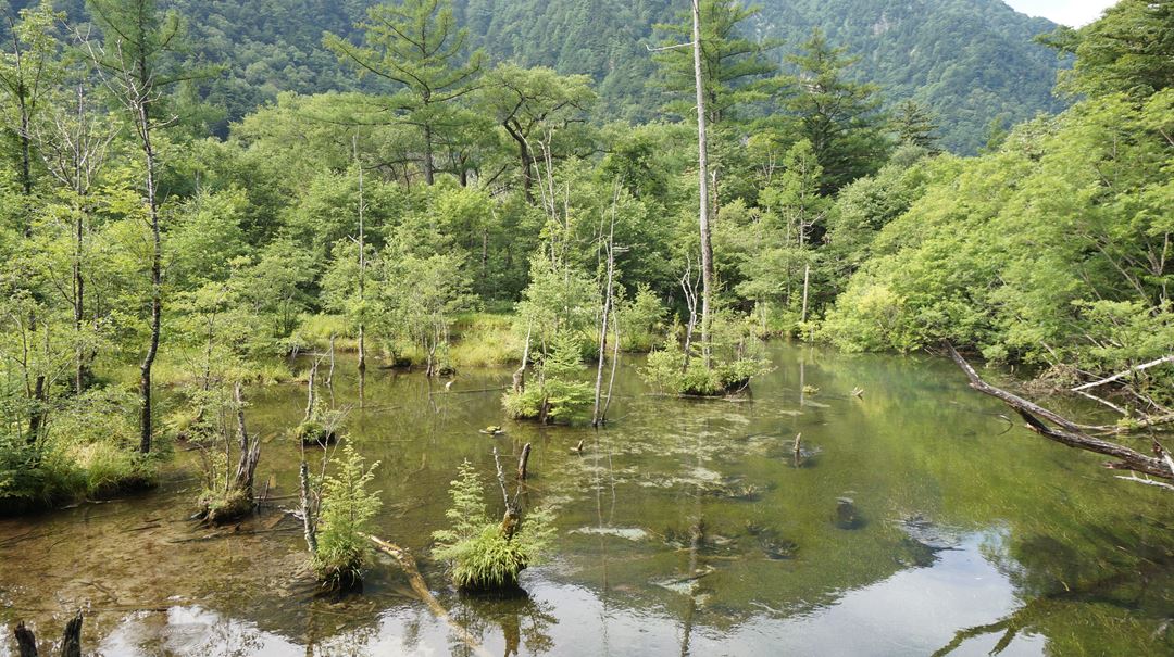 上高地 明神池 Myojin Pond - Kamikochi