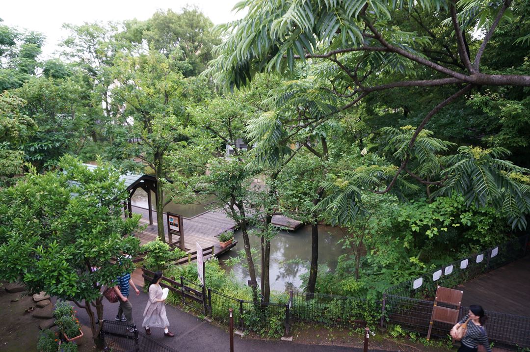 東京 足立区生物園 Adachi Park of Living Things
