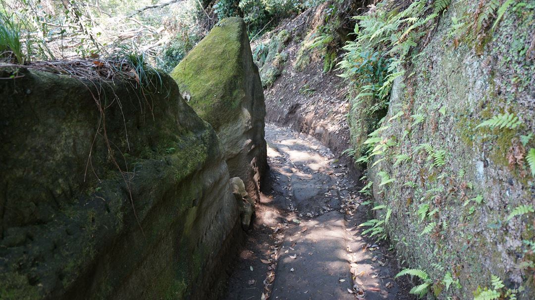 千葉 鋸山 日本寺 ハイキング Hiking in Mt. Nokogiri and Nihonji Temple