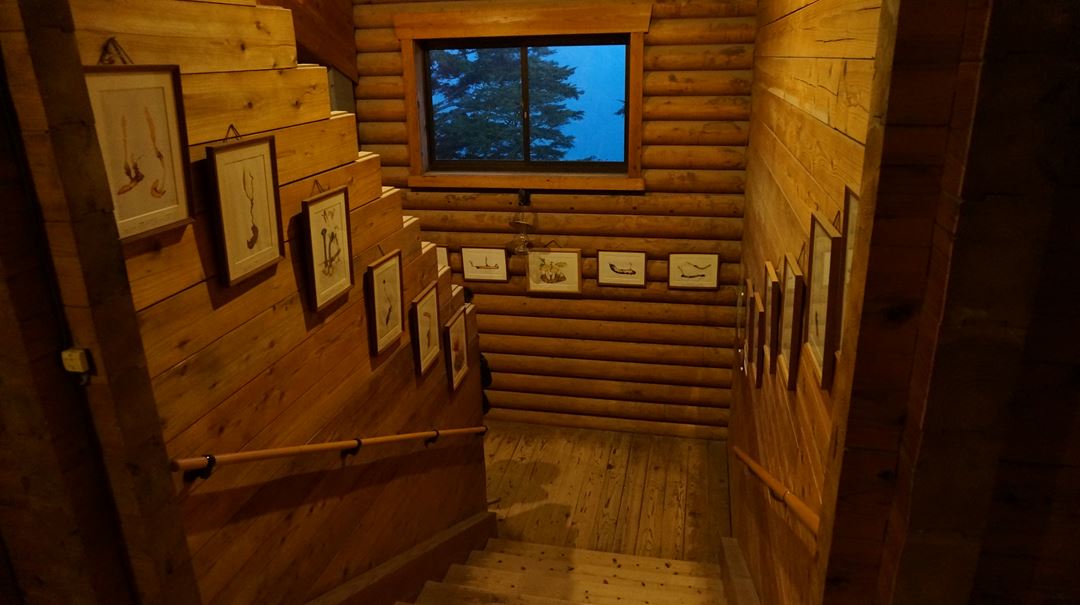 雲取山 三峯神社 登山 ハイキング Mt. Kumotoriyama Mitsumine Shrine