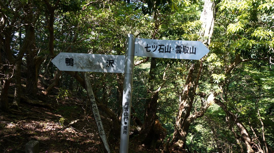 雲取山 三峯神社 登山 ハイキング Mt. Kumotoriyama Mitsumine Shrine