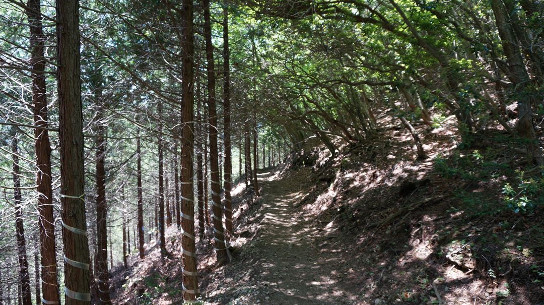 雲取山 三峯神社 登山 ハイキング Mt. Kumotoriyama Mitsumine Shrine