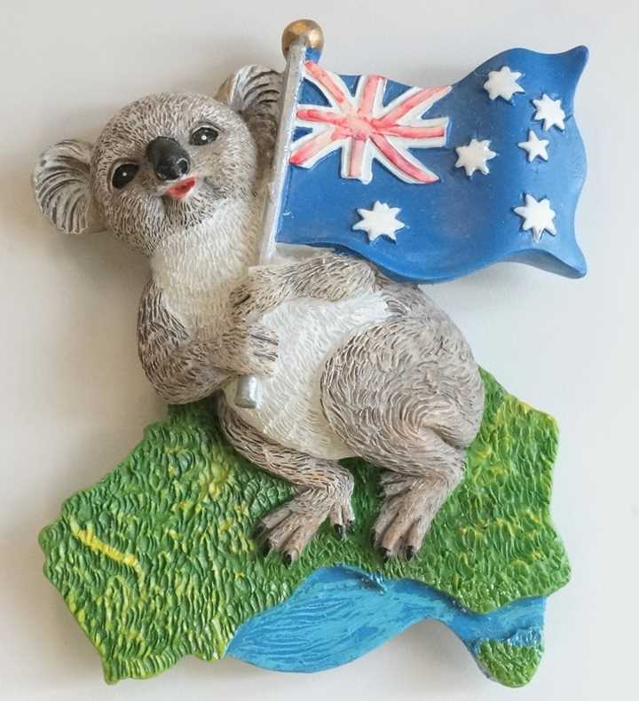Koala Australia Souvenir Fridge Magnet ご当地マグネット お土産 オーストラリア コアラ