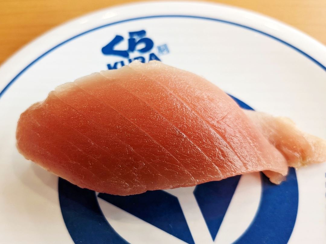 Aged Fatty Tuna 極み熟成 中とろ一貫 Conveyor Belt Sushi Restaurant (Sushi Go Round) KURASUSHI くら寿司