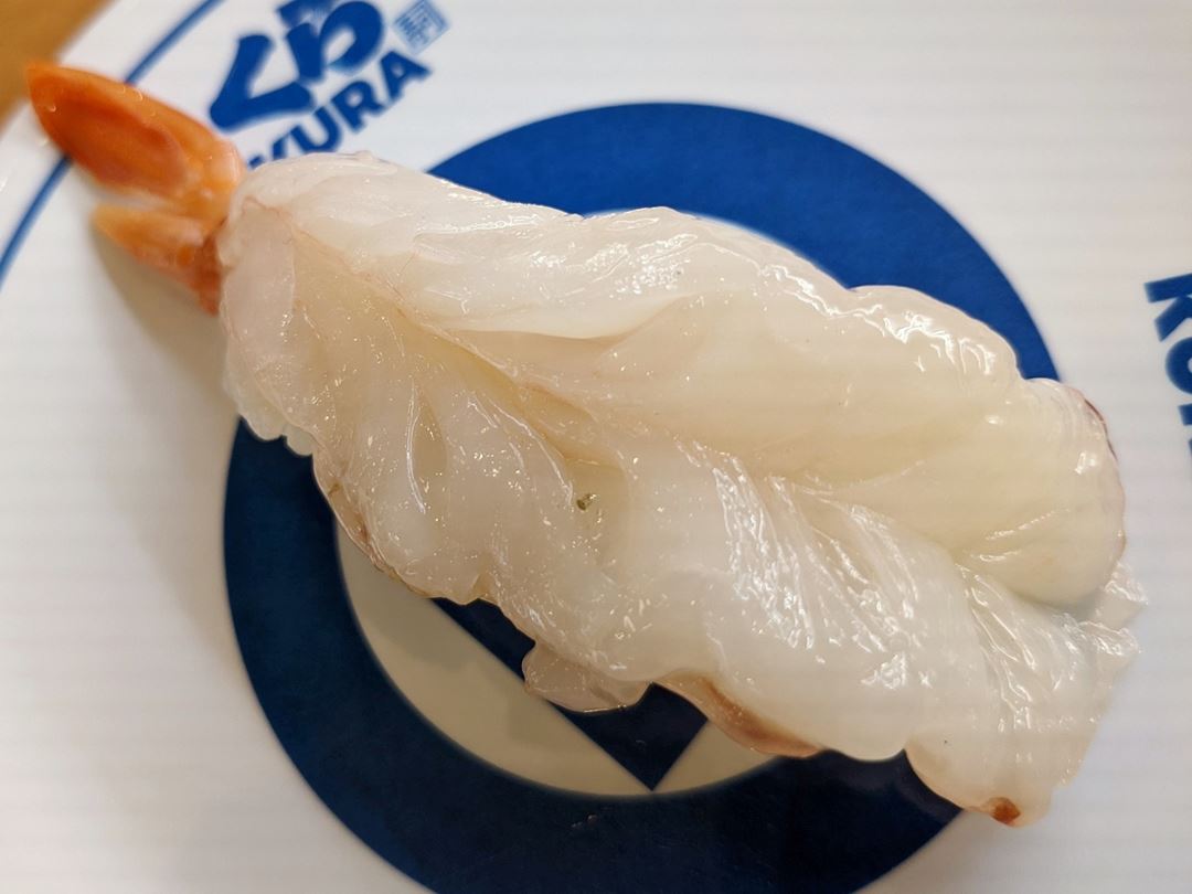 Red Prawn 赤えび一貫 Conveyor Belt Sushi Restaurant (Sushi Go Round) KURASUSHI くら寿司