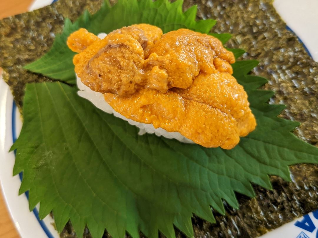 Sea Urchin Handroll たっぷりうに手巻一貫 Conveyor Belt Sushi Restaurant (Sushi Go Round) KURASUSHI くら寿司