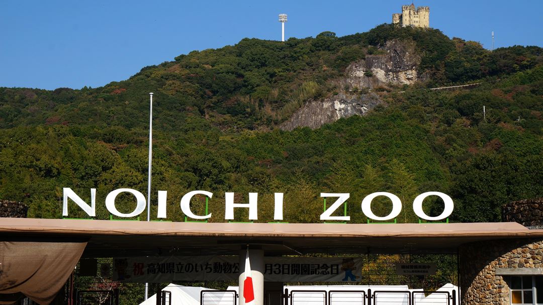のいち動物公園 高知県香南市野市町 Noichi Zoological Park
