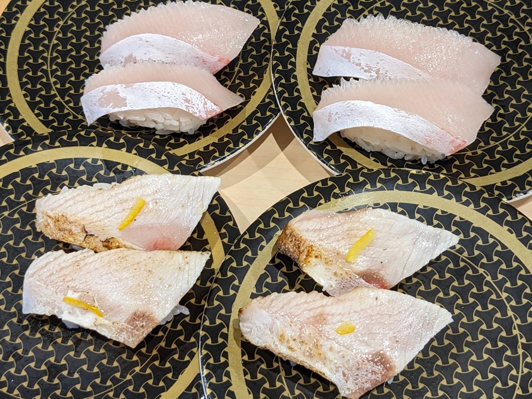 活〆 炙り とろはまち ゆず塩（四国・九州産）はま寿司 Seared Fatty Young Yellowtail and YUZU Citron HAMASUSHI