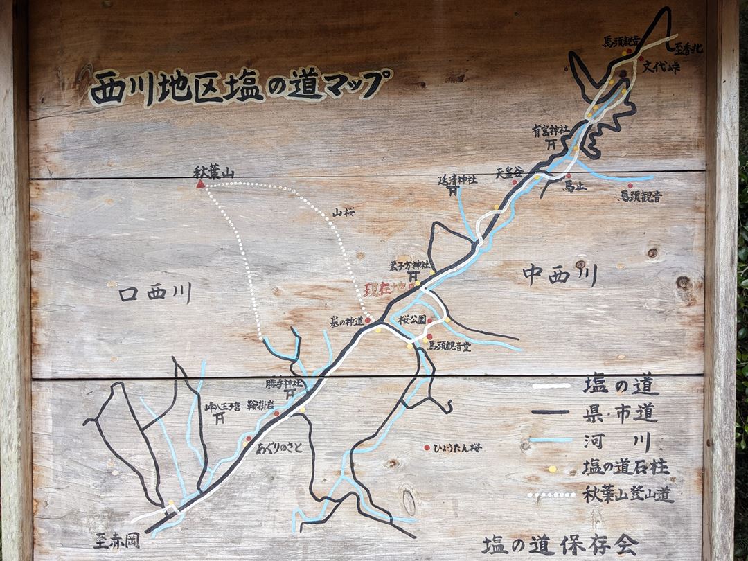 土佐塩の道 西川地区 桜 花見 高知 香南市