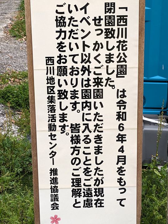 土佐塩の道 西川地区 桜 花見 高知 香南市