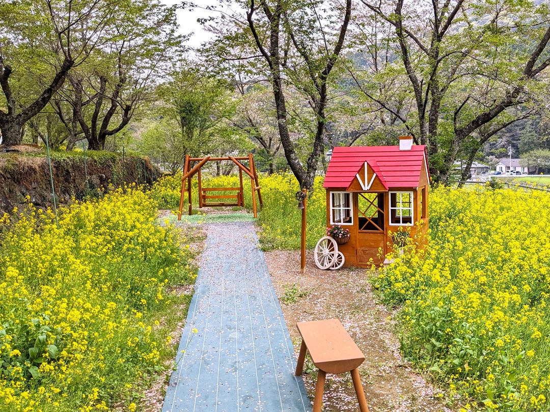 土佐塩の道 西川地区 桜 花見 高知 香南市