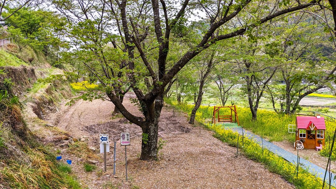 土佐塩の道 西川地区 桜 花見 高知 香南市
