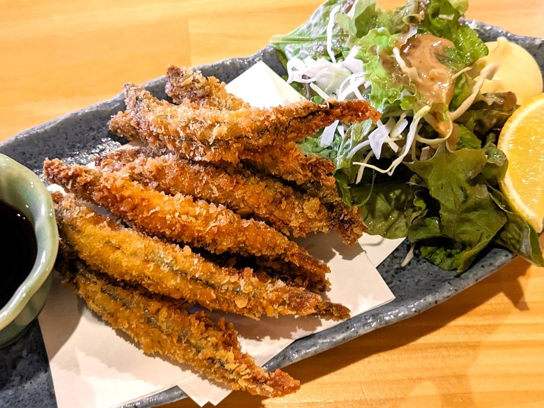 きびなごフライ おき楽酒場 居酒屋 高知グルメ 香南市 野市町