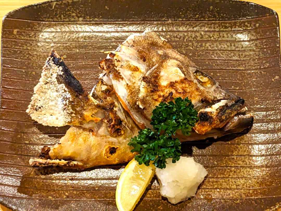 キジハタかぶと塩焼 おき楽酒場 居酒屋 高知グルメ 香南市 野市町