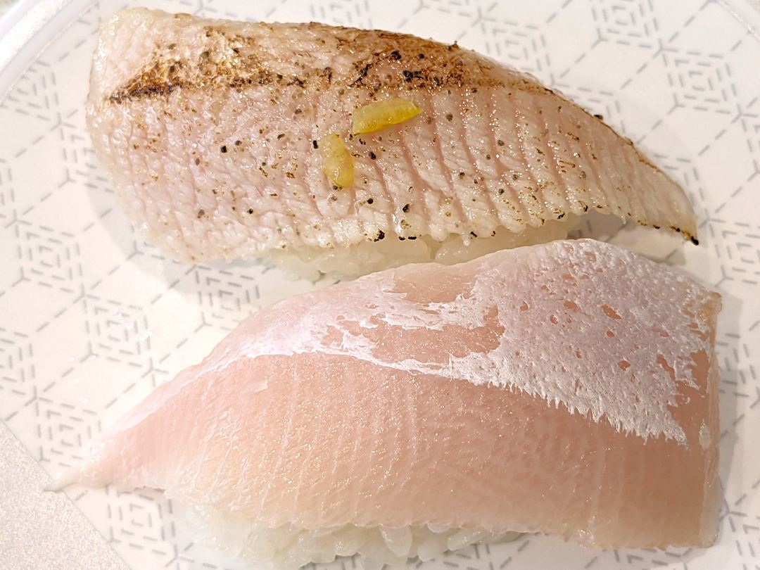 大切り活〆とろはまち はま寿司 Fatty Yellowtail IKE-JIME HAMASUSHI