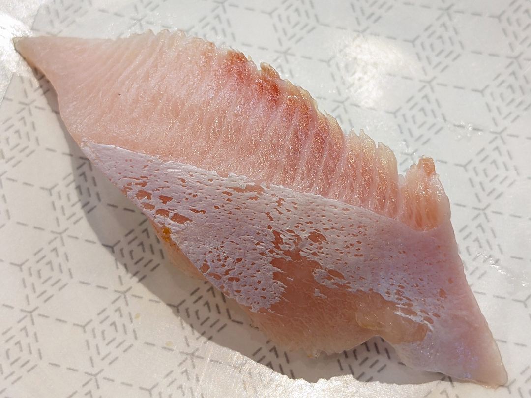 大切り活〆とろはまち はま寿司 Fatty Yellowtail IKE-JIME HAMASUSHI