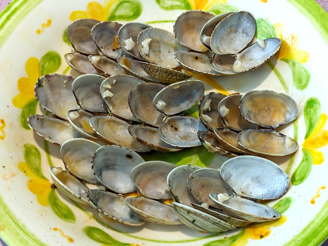 スープ入り塩味ボンゴレ Soup Spaghetti alle Vongole in Bianco パスタ スパゲッティ Saizeriya サイゼリヤ