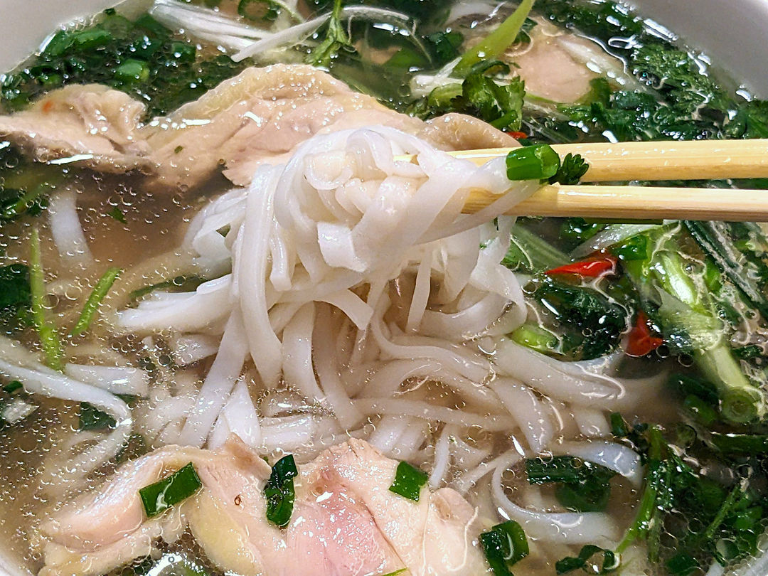 鶏肉フォー ちゃんフォー南国 ベトナムレストラン 高知