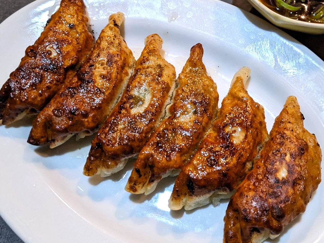 ぎょうざ 餃子 喰い道楽ゆめや 屋台風食堂 焼き鳥 高知 居酒屋